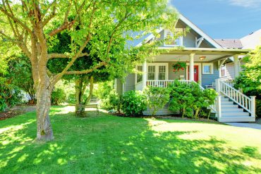 Tree Health Home Inspection